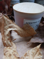 Pumpkin Spiice Candle